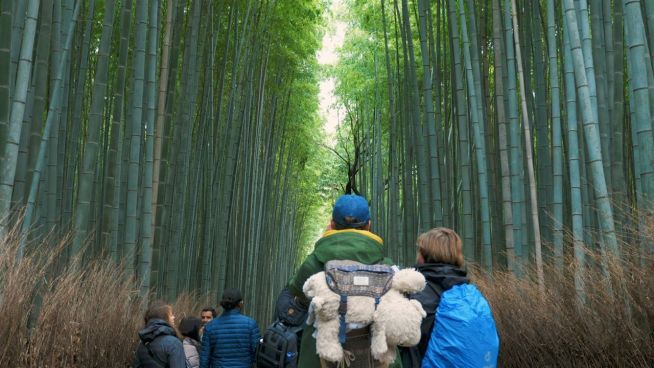 Märchenhafte Urlaubsorte: Kyoto, Japan