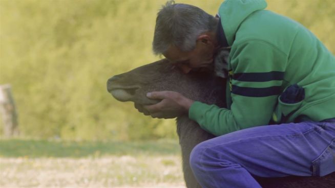 Aus Liebe zu Bambi: Jäger legt sein Gewehr nieder